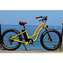 Fat Tire E Bike/ Lithium Battery Green Powered Woman Electric Bike